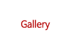갤러리